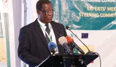 18th-steering-and-experts-committee-meeting-in-Cote-dIvoire